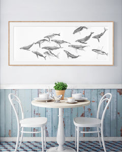 Migration Fine Art Print - Humpback Whales